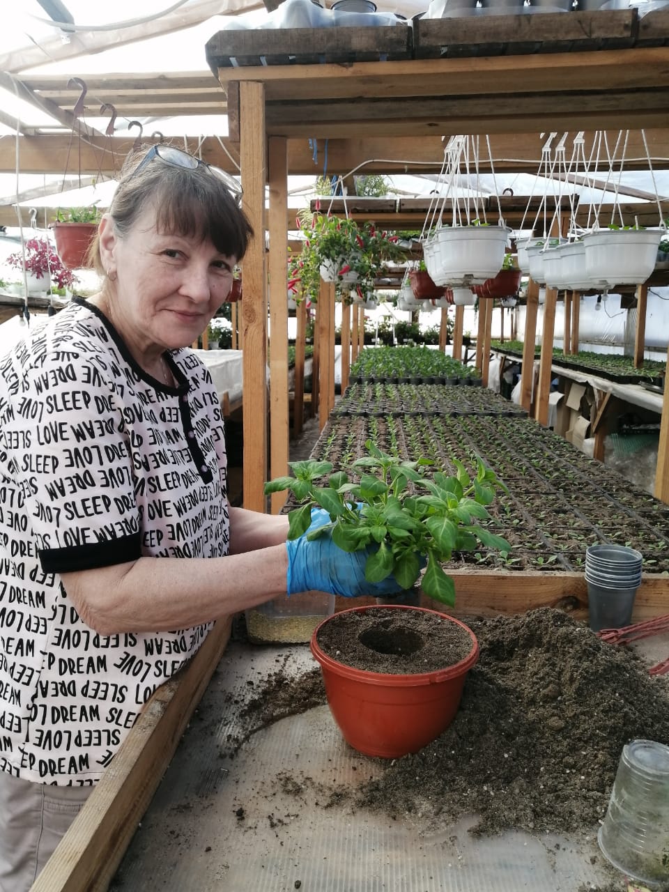 Цветы-улыбка природы.